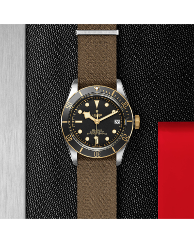 Tudor Black Bay S&G 41 mm steel case, Fabric strap (horloges)